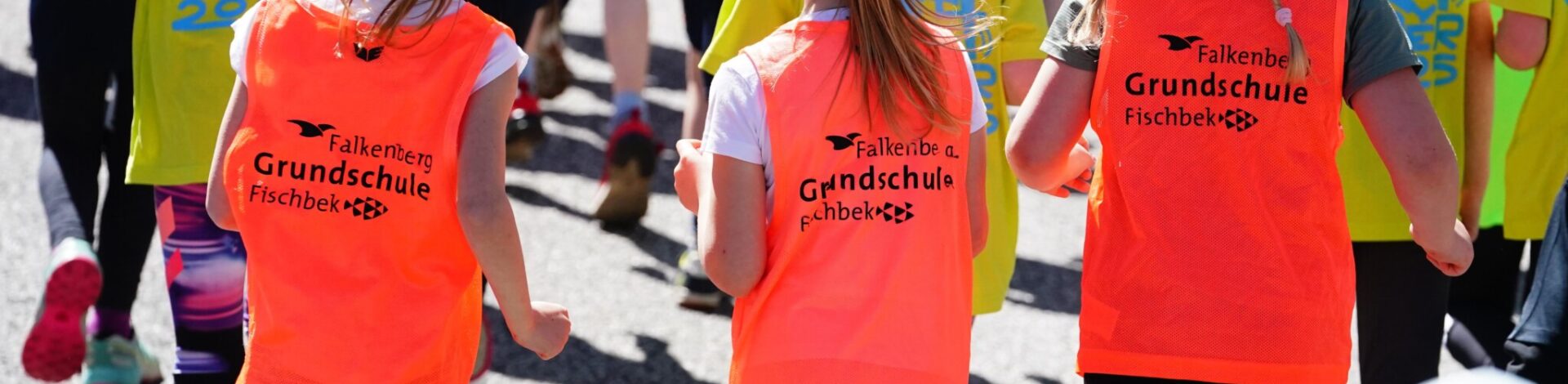 Homepage der Stadtteilschule Fischbek-Falkenberg Hamburg