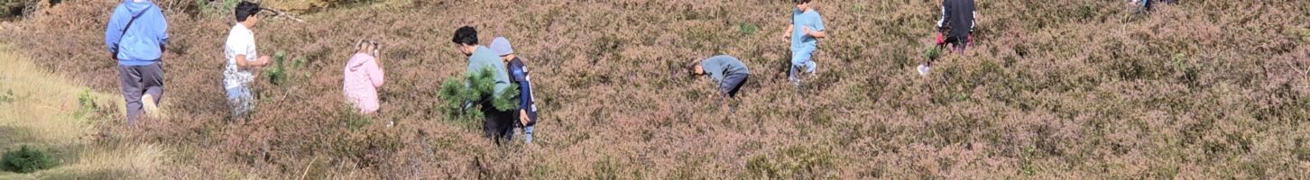 Miniranger in der Heide