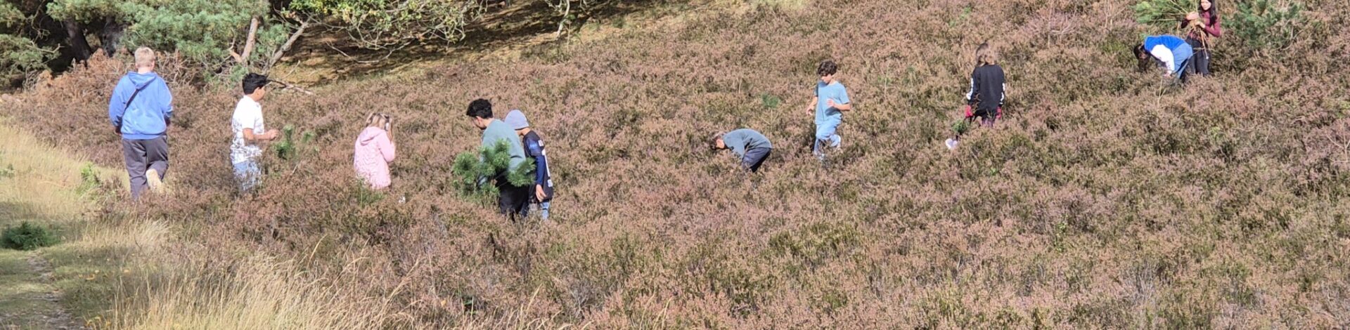 Miniranger in der Heide