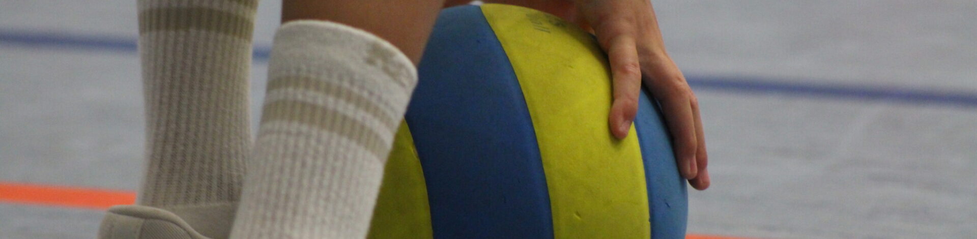 Volleyball-Grundschulcup – die FiFa war dabei!