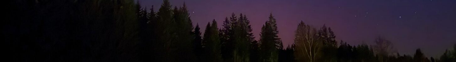 Langläufer in Finsterau