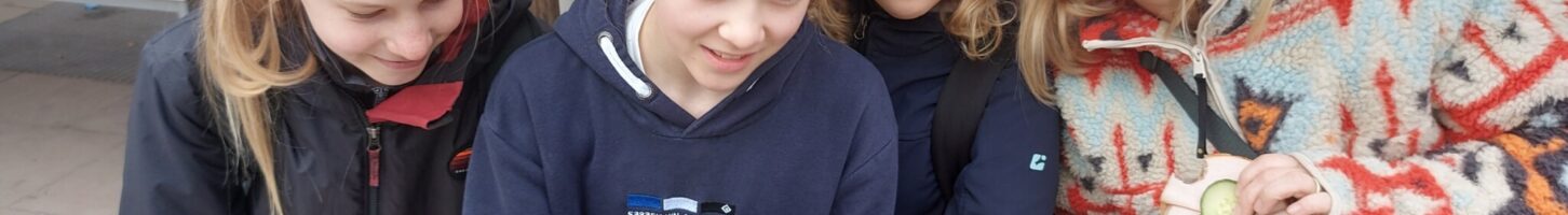 Lesefest am Falkenberg